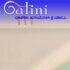 Galini Greek Kouzina & Grill Langley