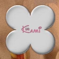 Kami Sushi Surrey