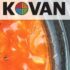 Kovan Korean Restaurant Langley