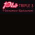 Pho Triple 3 Langley