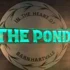 The Pond Country Market Kamloops