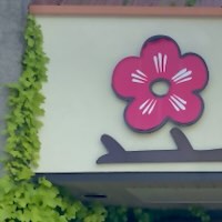 Sakuya Sushi Surrey